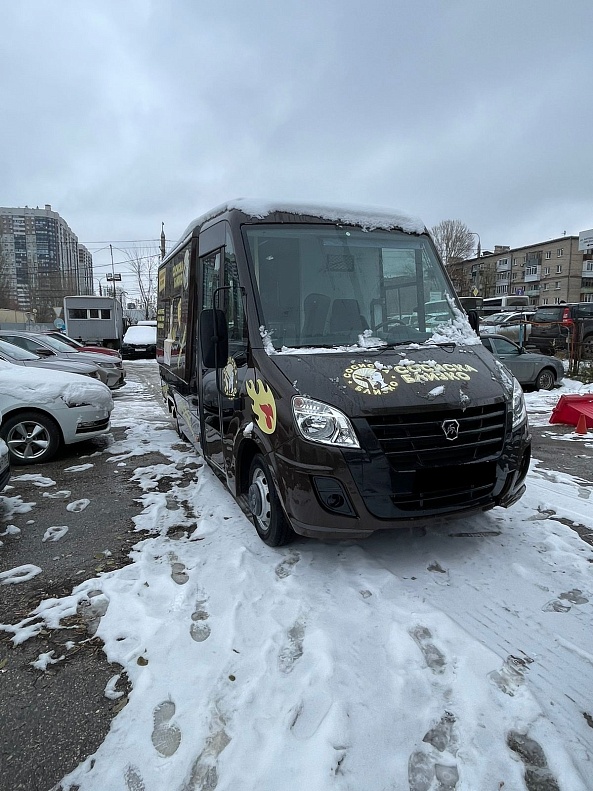 Миниатюра 5