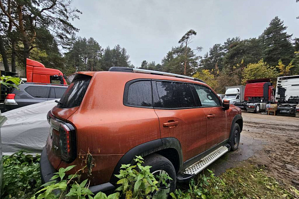 Миниатюра 4