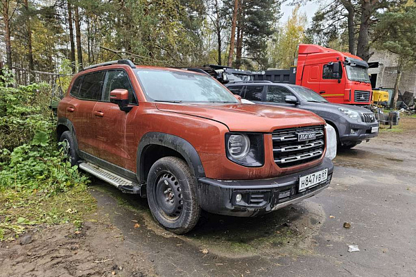 Миниатюра 10