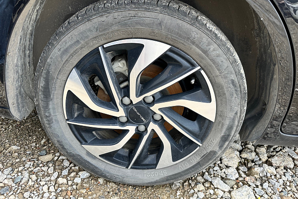 Миниатюра 19